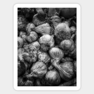 Black and White Garlic Sticker